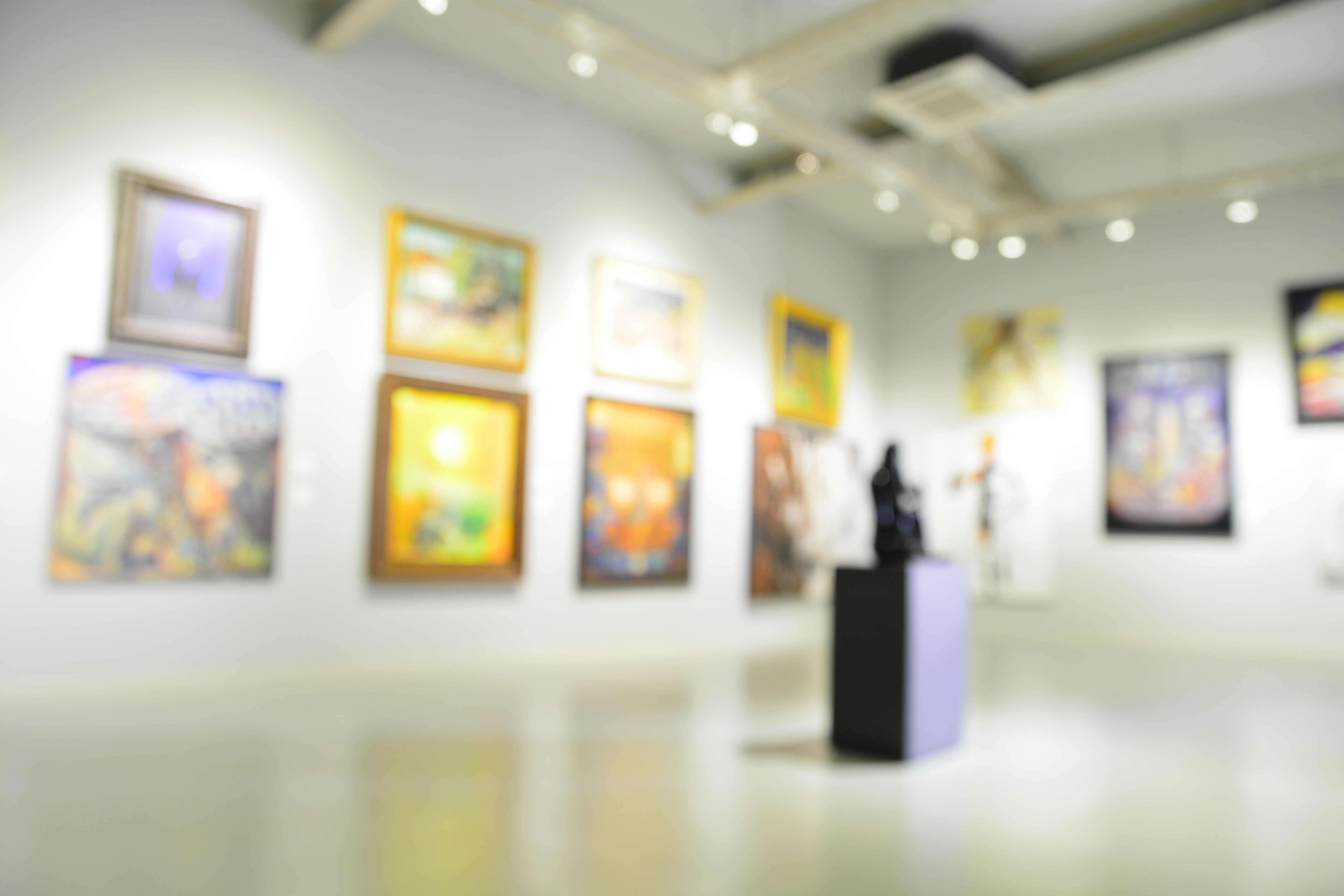 Transform Your Museum Storage with Southwest Solutions Group